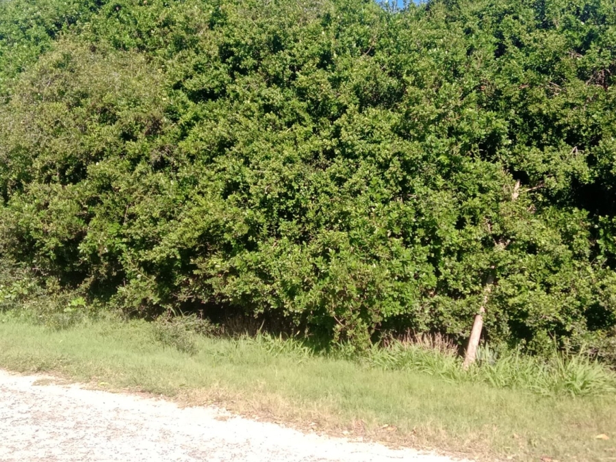Commercial Property for Sale in Paradise Beach Eastern Cape
